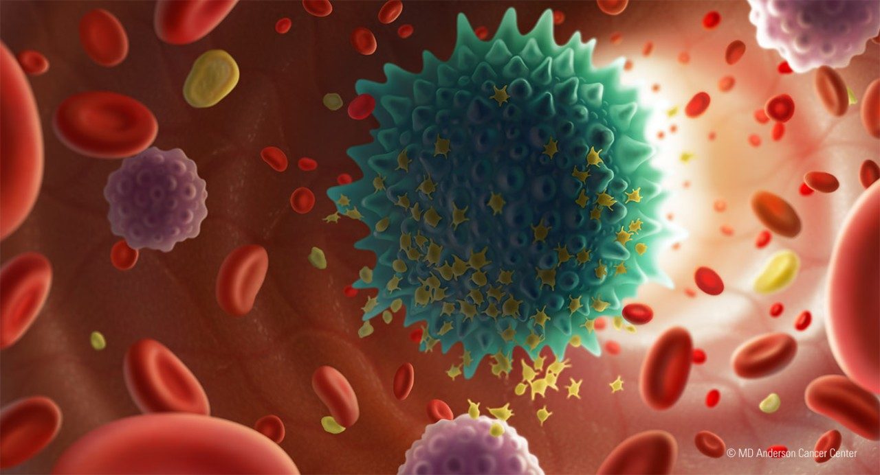 蓝色癌细胞漂浮在bloodsteam,周围红细胞和白细胞。