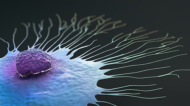 科学的说明乳腺癌细胞迁移
