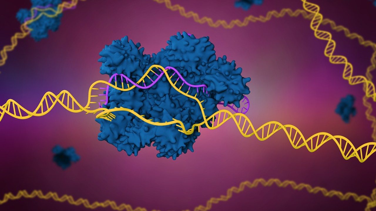 说明人类DNA的细胞在一个紫色的背景