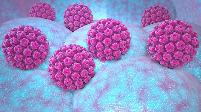 医疗插图亮粉色HPV病毒的丘陵,斑驳的绿松石/红色的表面