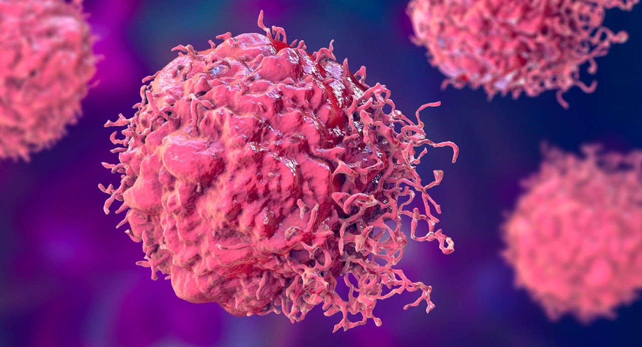 插图的粉红色癌细胞漂浮在一个紫色的背景