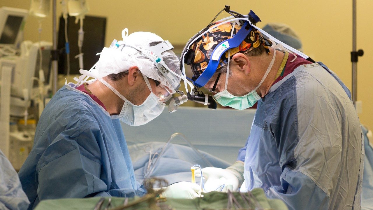 Surgeons performing HIPEC
