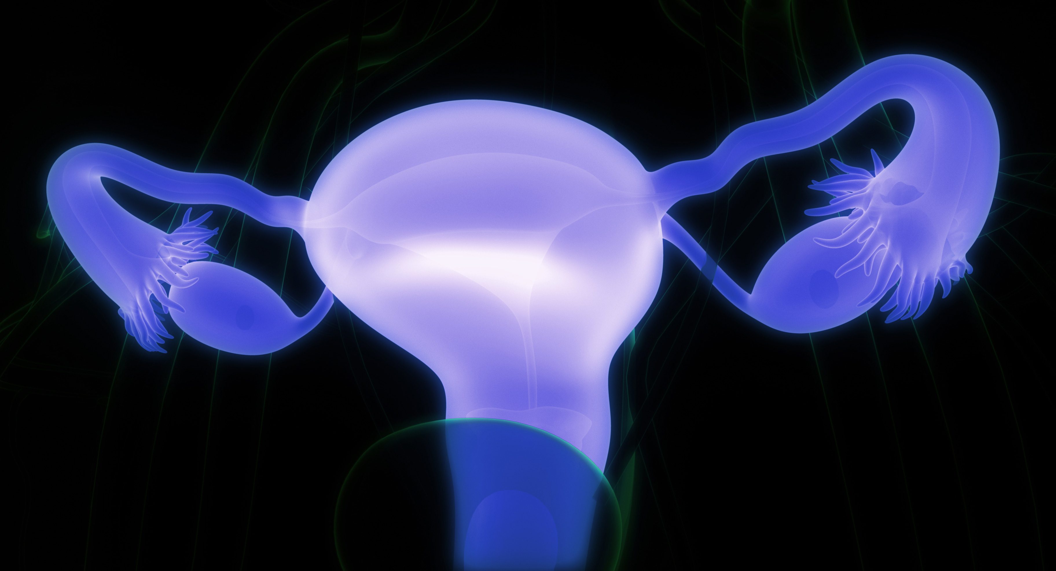 CGI医疗插图明亮的紫色内部女性生殖器官与一个坚实的黑色背景